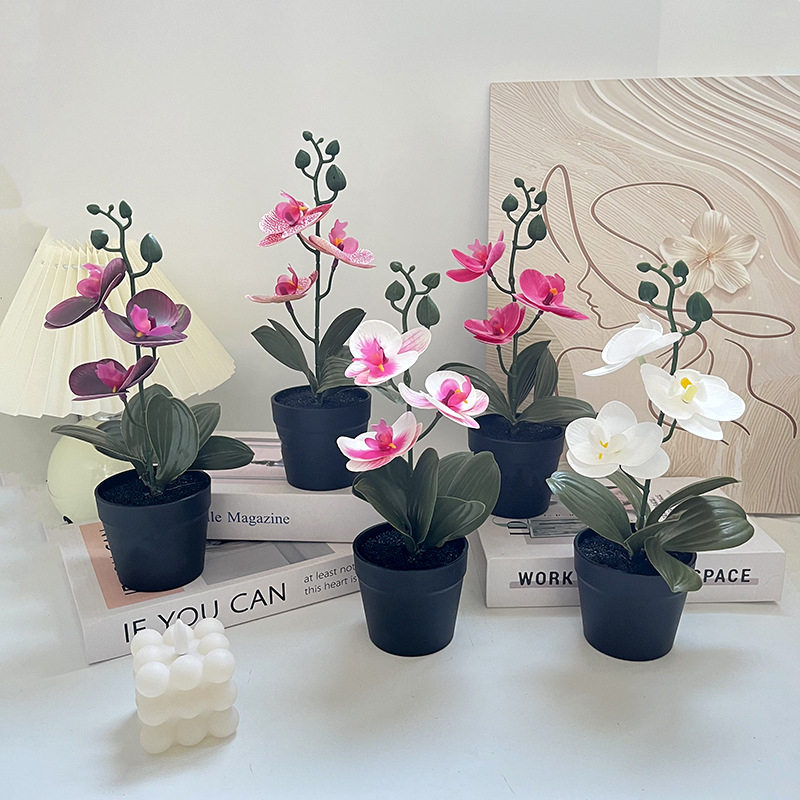 軽量高級黒粘土鉢、蝶蘭模造品、屋内結婚式撮影、造花3本、緑の - Photography Lighting Simulator Free のレビューと価格